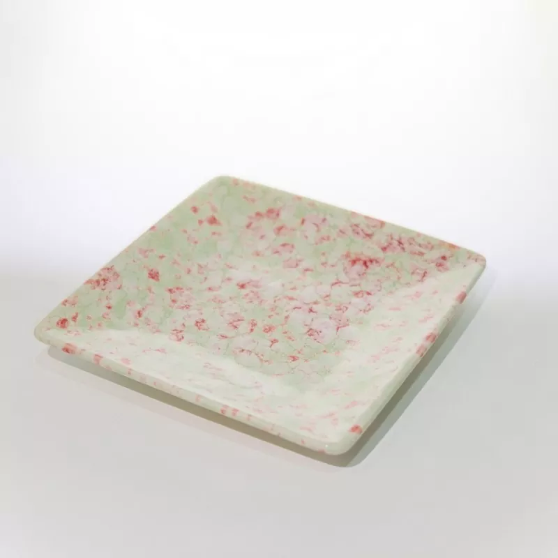 Quadratus Parvus punctatus Ceramic Dish